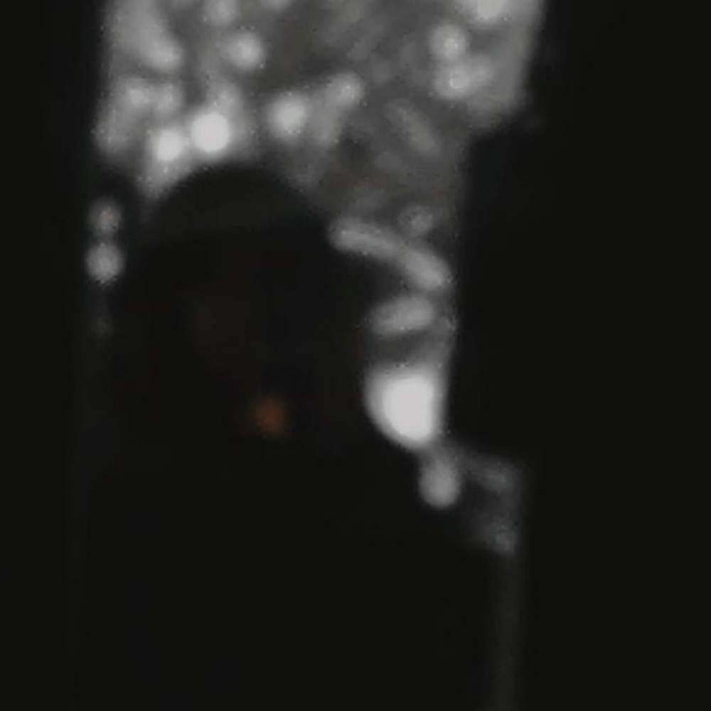 Meet your Posher, Lani